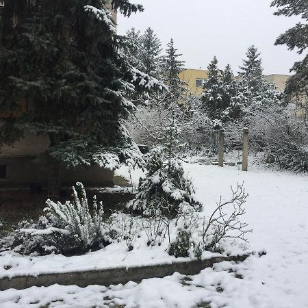 Next To University Debrecen Esterno foto