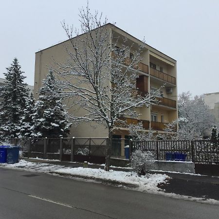 Next To University Debrecen Esterno foto